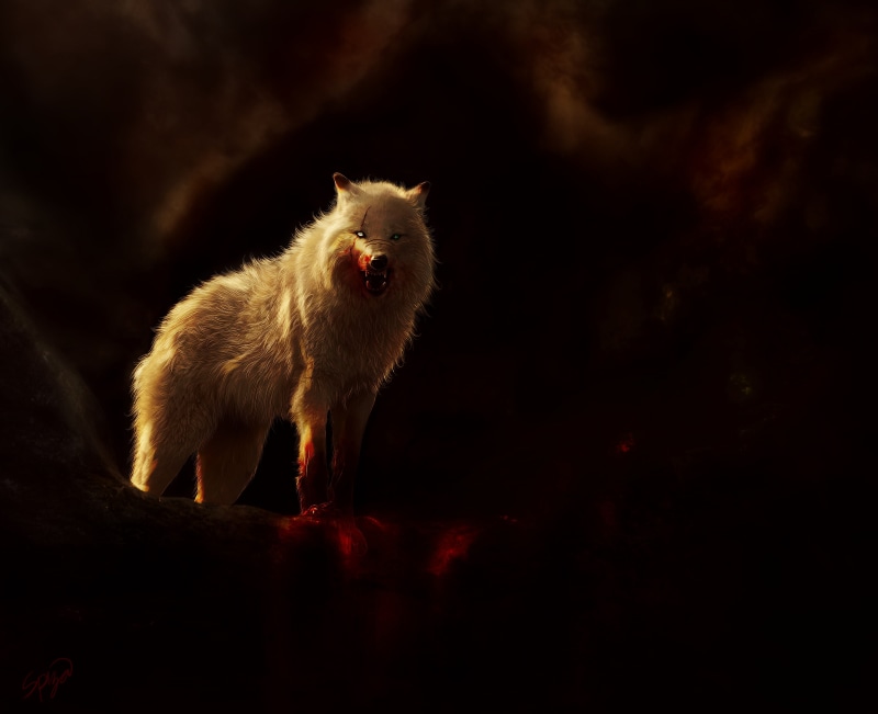 emotion, no people, animal hair, domestic, animals in the wild, scars, Fantasy, animal wildlife, one animal, vertebrate, 4K, copy space, night, animal