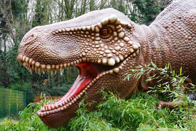 sign, wildlife, animal mouth, archeology, rex, Dinosaurs, monster, animal head, close-up, science, 5K, t-rex, animal teeth, one animal, ancient, animals in the wild