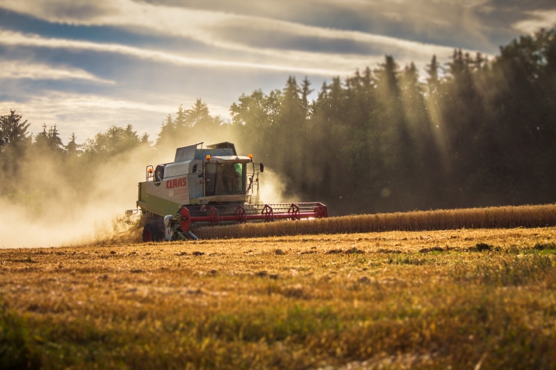 harvesting, nature, claas, environment, rural scene, day, machinery, harvester, occupation, arable, grain harvest, plant, tractor, agricultural equipment