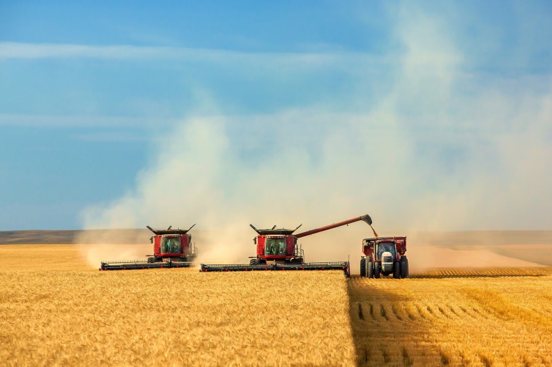 land vehicle, red, blue, corn - Crop, cutting, gold Colored, land, landscaped, wheat, farm, agricultural equipment, growth, cloud - sky, equipment, environment