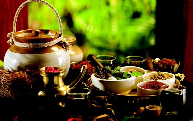 glass, paprika, turmeric, Ayurveda, bowl, oatmeal, blurred background, tray, grass, brown, pitcher, kettle, coriander, infusion, seasoning, spices, 2K