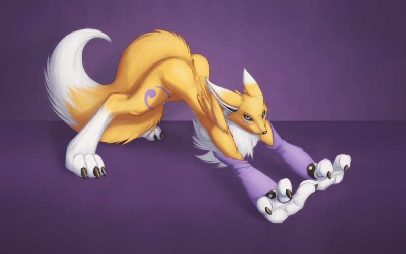 art, fandom, Renamon, furry, anime, digimon, hd, 2K, x