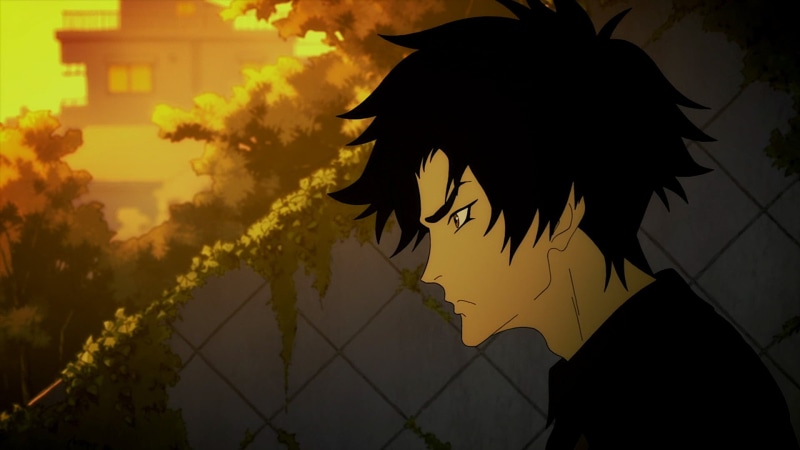 contemplation, plant, women, 1080P, sky, lifestyles, Devilman: Crybaby, sunset, young adult, Anime, portrait, outdoors, Akira Fudo, one person, leisure activity