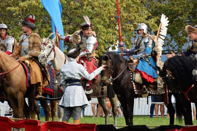 middle ages, defend, horseback riding, helm, group of animals, historical representation, war, animal wildlife, pets, reiter, fantasy, mammal, working animal