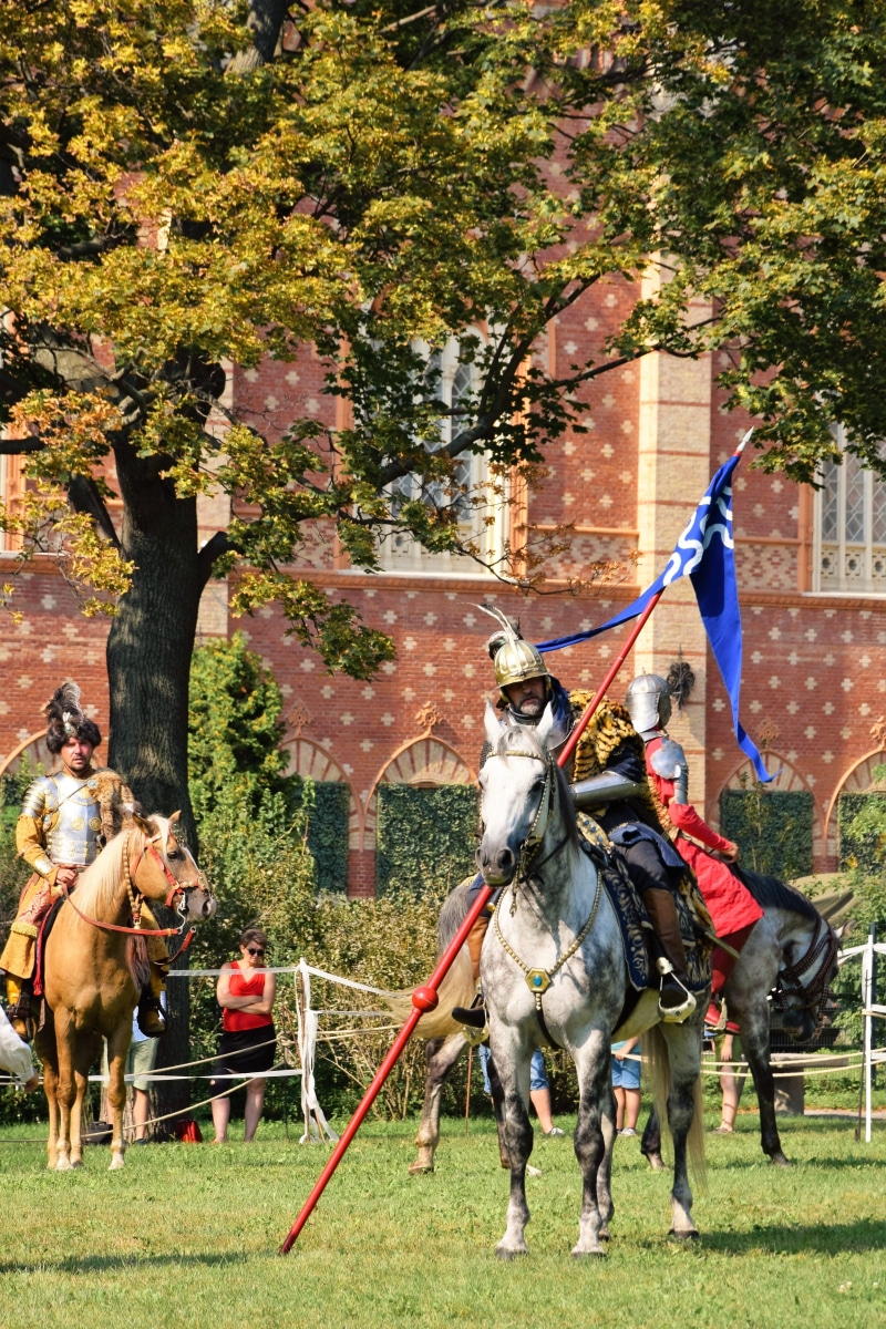 war, childhood dream, sommerfest, outdoors, middle ages, reiter, drag, riding, pets, ponisch, children, armed, castle wall, group of animals, day, domestic animals
