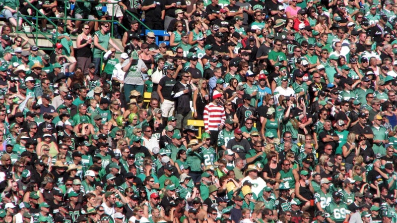 1080P, waldo