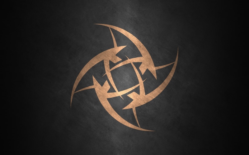 REZ, team, Ninjas In Pyjamas, Dennis, logo, Lekr0, PC gaming, Counter-Strike: Global Offensive, Get_Rıght, 1080P