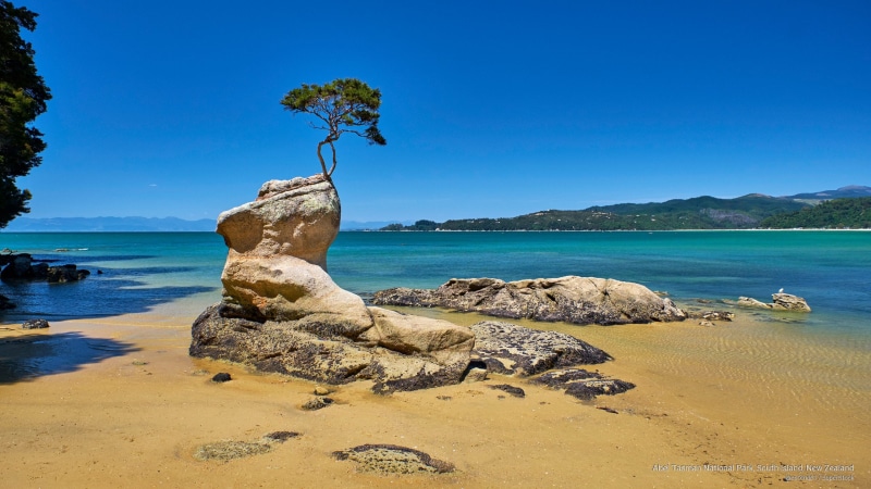 abel, new, 2K, park, island, tasman, zealand, south, national, Oceania