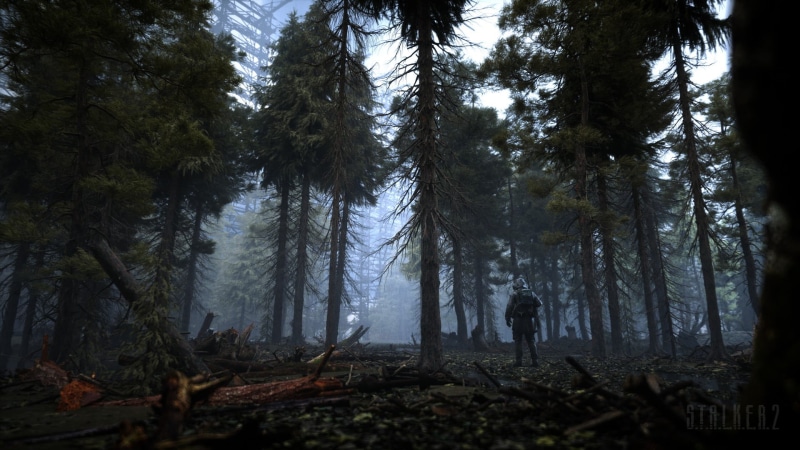 gas masks, S.T.A.L.K.E.R. 2, S.T.A.L.K.E.R., Chernobyl, 1080P, trees, forest