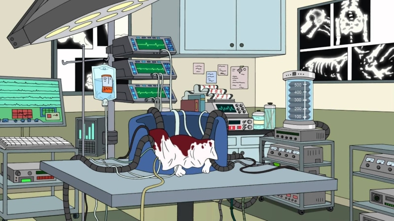 cartoon, american, animation, comedy, series, dad, 1080P, family