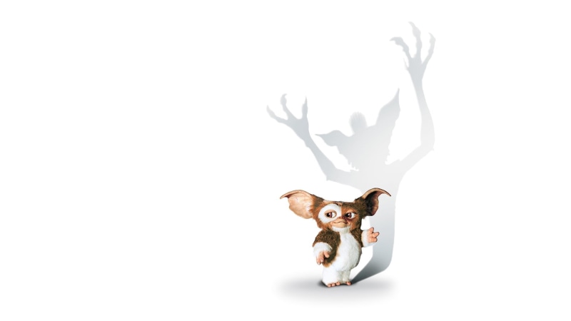 dog, domestic cat, white background, one animal, domestic, cat, gremlins, vertebrate, domestic animals, no people, chihuahua - dog, canine, studio shot