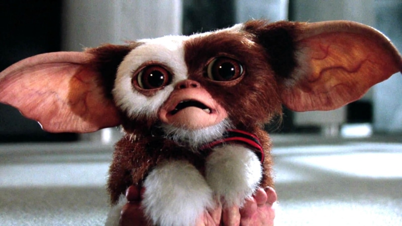 comedy, creature, alien, horror, gremlins, 1080P, monster