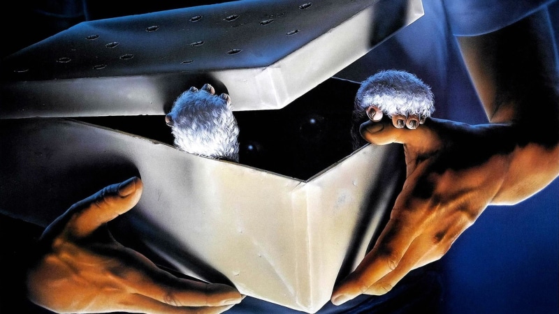 gremlins, horror, creature, comedy, monster, 1080P, alien