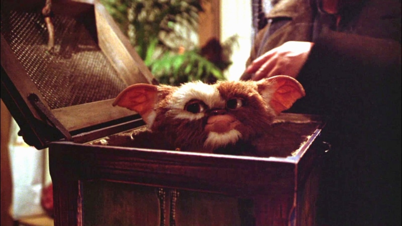 gremlins, horror, comedy, alien, 1080P, creature, monster