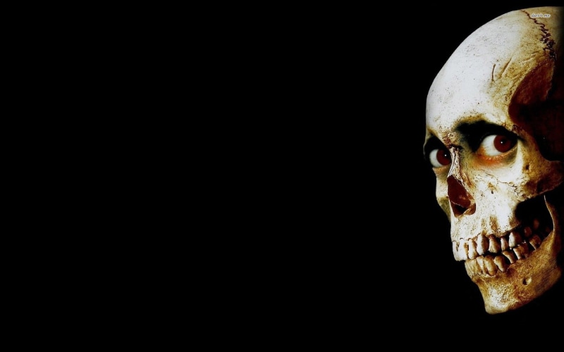 Evil Dead, skull, studio shot, 1080P, close-up, indoors, spooky, celebration, looking at camera, human skeleton, human skull, evil, human bone