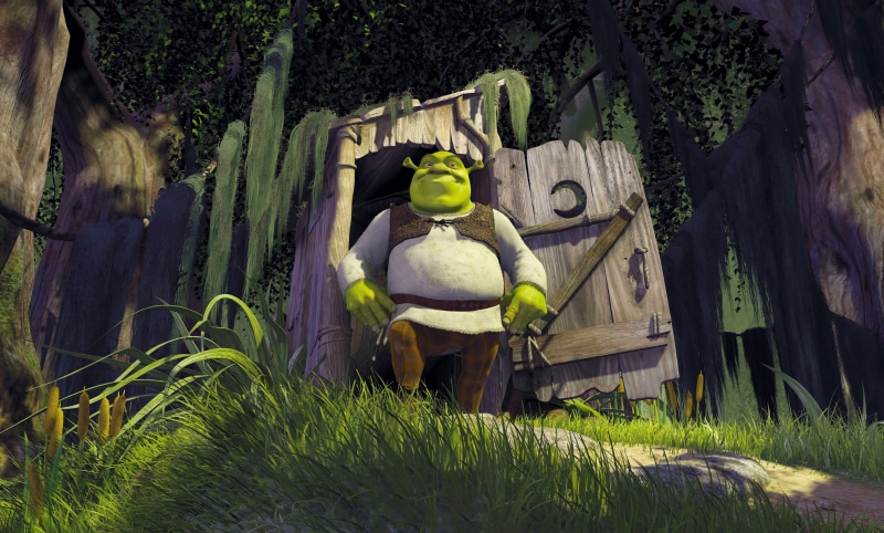 adult, plant, real people, day, grass, lifestyles, 2K, rear view, standing, green color, women, growth, one person, clothing, land, shrek, tree, nature