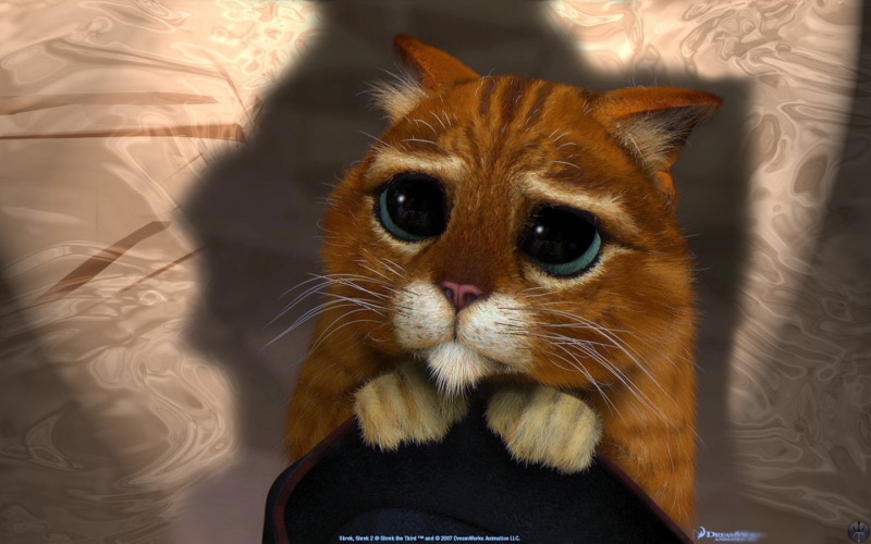 Puss In Boots, boot, shrek, puss, 720P, Movie