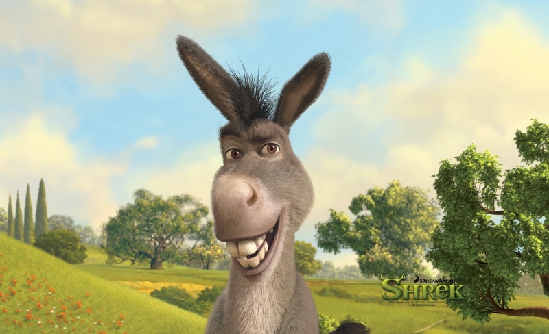 sky, vertebrate, tree, dunky, nature, chapter, close-up, one animal, donkey, Shrek, animal body part, animal, hd, shrek the final chapter, animal themes