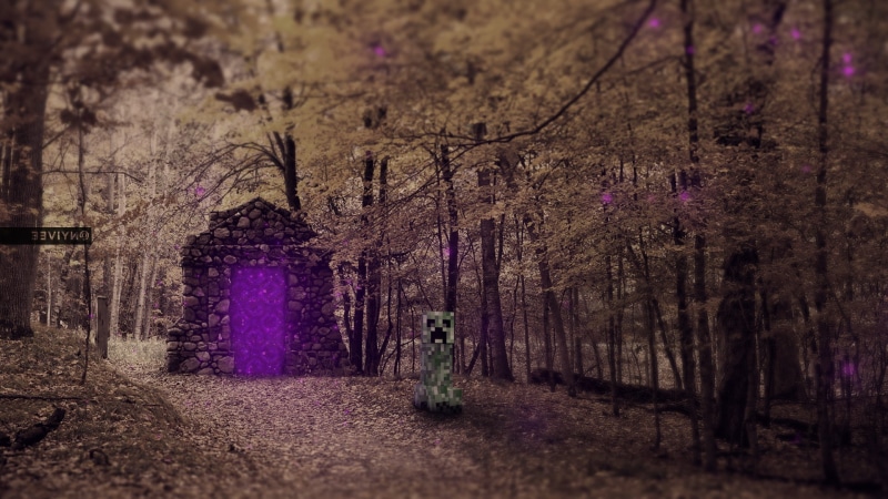beauty in nature, real people, landscape, night, architecture, tree, growth, Creeper, 1080P, Minecraft, purple, Realistic, land, one person, plant, Nether Portal