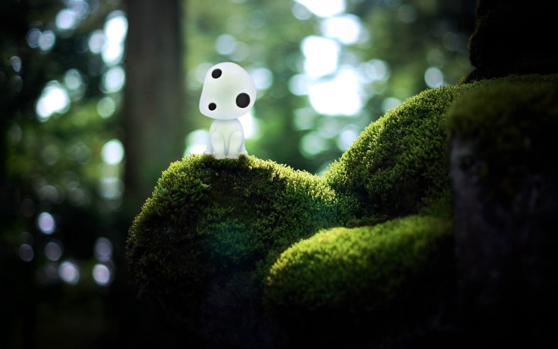 plant, smiling, art and craft, hd, white, may, figurine, outdoors, 2K, quality, focus on foreground, moss, emotion, green color, nature, mushroom, creativity