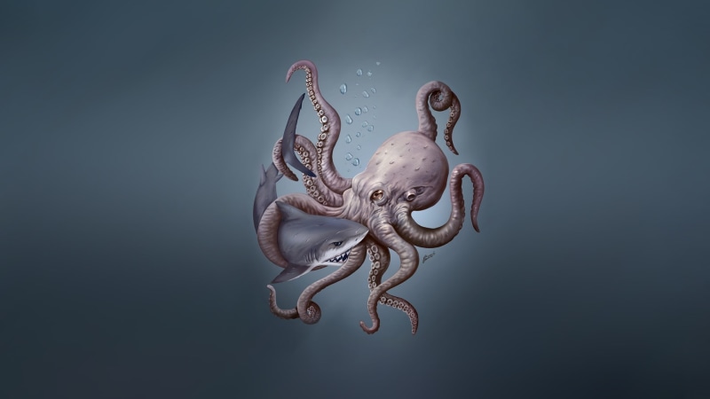 1080P, Animal, Octopus