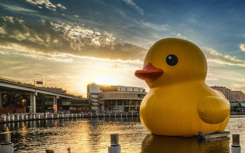 1080P, inflatable, city, baby, duck, rubber, yellow, funny