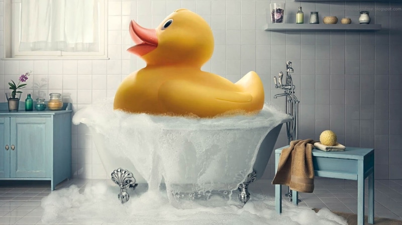 duck, toy, rubber ducks, indoors, domestic kitchen, day, fun, clean, representation, kitchen counter, bathroom, food and drink, artwork, kitchen, rubber duck