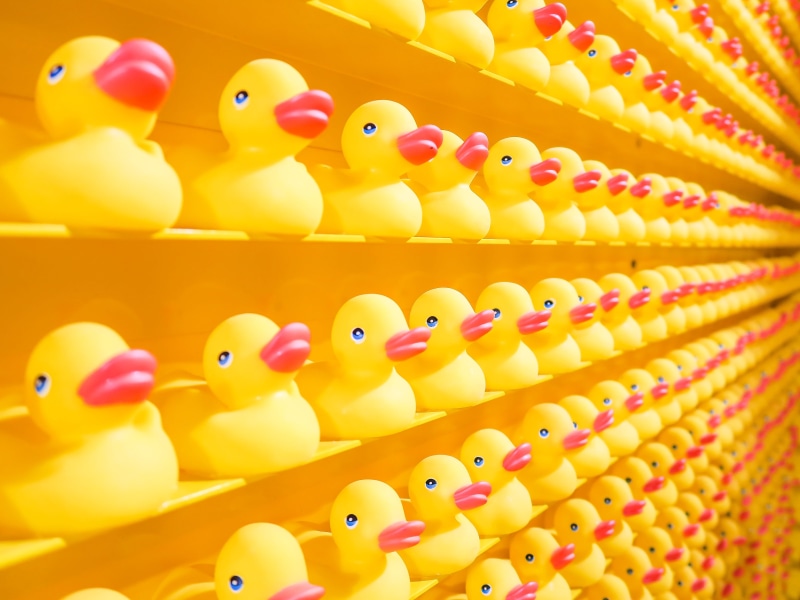 tons, no people, large group of objects, ducks, bright color, close-up, screensaver, options, rubber duck, choice, multi colored, duck, yellow, abundance