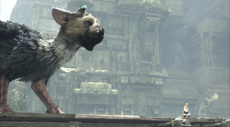 animal wildlife, architecture, vertebrate, cat, animals in the wild, the last guardian 4k  in hd quality, no people, built structure, feline, day, building exterior