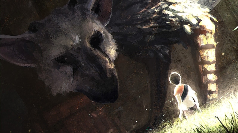 outdoors, nature, 1080P, sunlight, day, animals in the wild, adult, animal body part, water, animals in captivity, the last guardian, underwater, zoo