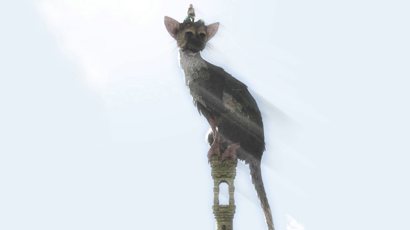 The guardian, Beast, vertebrate, 1080P, one animal, Tail, white color, animal wildlife, low angle view, outdoors, Sony Computer Entertainment Japan, day
