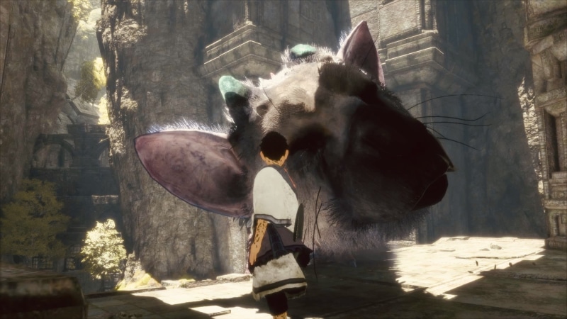 1080P, video games, The Last Guardian