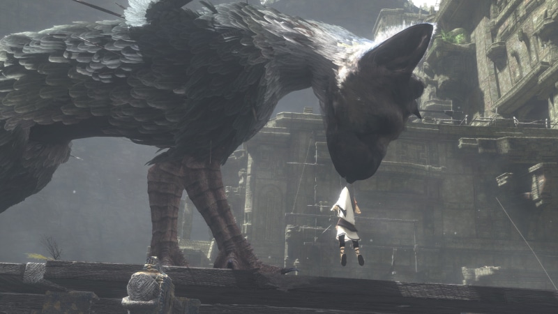 4K, the last guardian