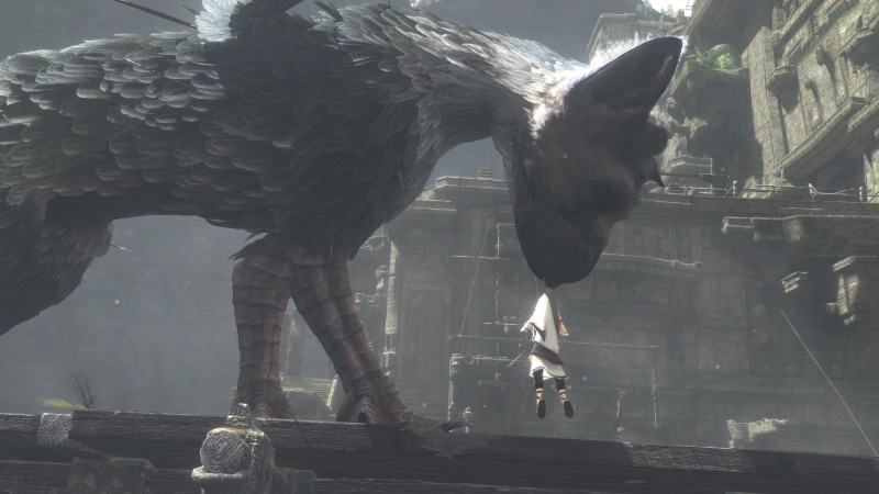 4K, The Last Guardian, Video Game