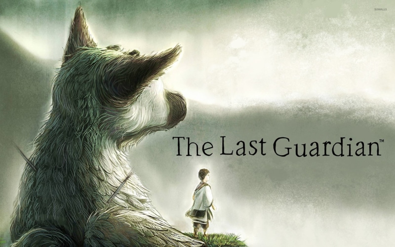 western script, nature, text, domestic animals, 1080P, canine, contemplation, sky, the last guardian, domestic, vertebrate, standing, communication, pets
