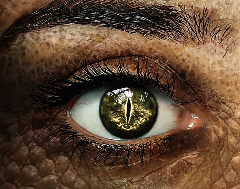 human body part, woman with a dragons eye, girl, hazel eyes, woman, unrecognizable person, eyesight, lizards eye, eyelash, fantasy, mysterious, body part