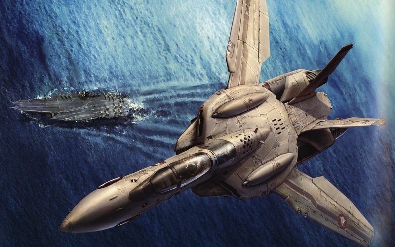 plane, military aircraft, outdoors, animal, water, day, animal wildlife, wood - material, air vehicle, no people, Macross, 720P, sea, close-up, vertebrate