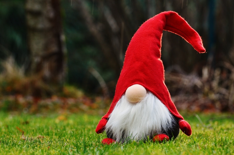 nature, dwarf, vertebrate, funny, christmas decoration, fun, cap, figure, bart, tree, animal body part, are, outdoors, christmas elves, cute, christmas time