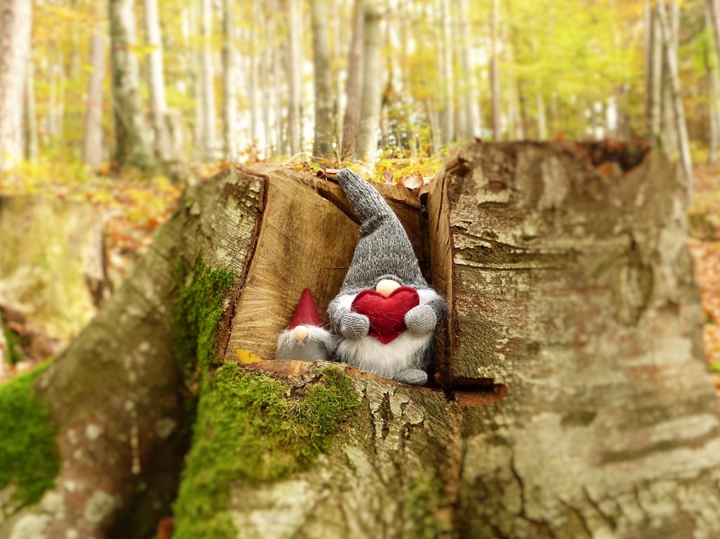 gnome, forest, costume, autumn, mothers day, animal representation, close-up, o, fairy tales, wood - material, color, trunk, trees, art and craft, red
