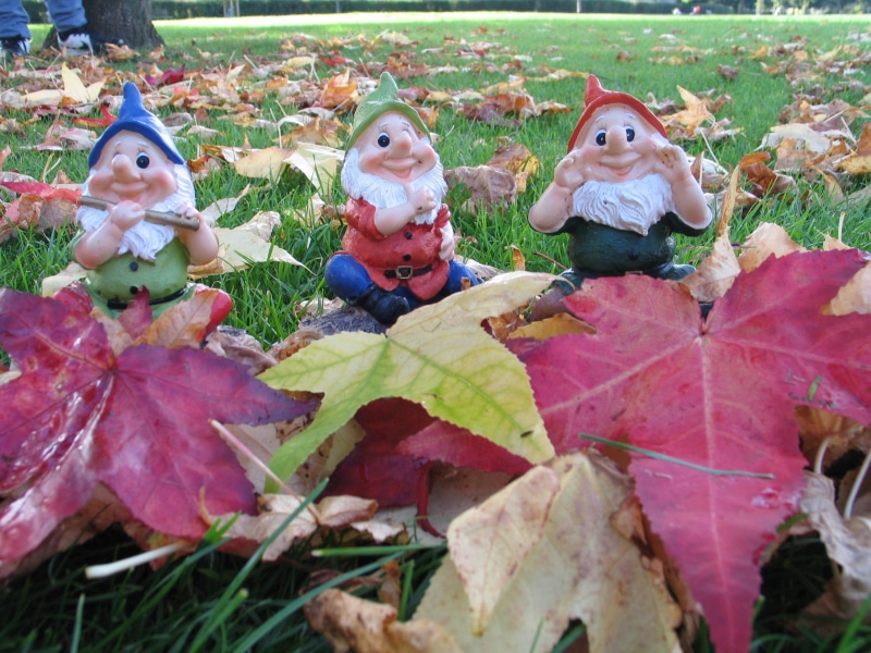 selective focus, colorful, outdoors, land, forest, garden, autumn, 2K, plant, leaf, decoration, day, elf, no people, plant part, red, natural, field, human representation