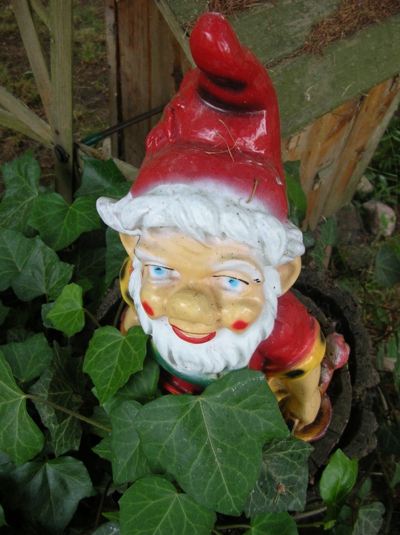 1080P, Ivy, representation, nature, close-up, Garden, child, the creation of, red, dwarf garden, krasnal, plant part, creativity, childhood, decoration