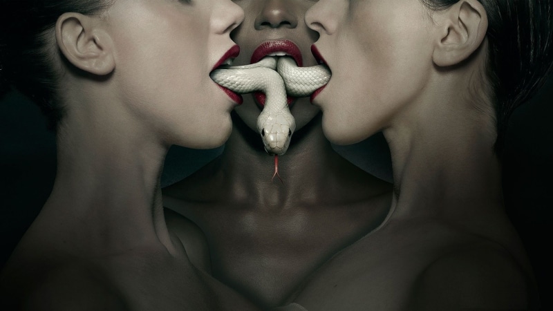TV, 1080P, American Horror Story, snake