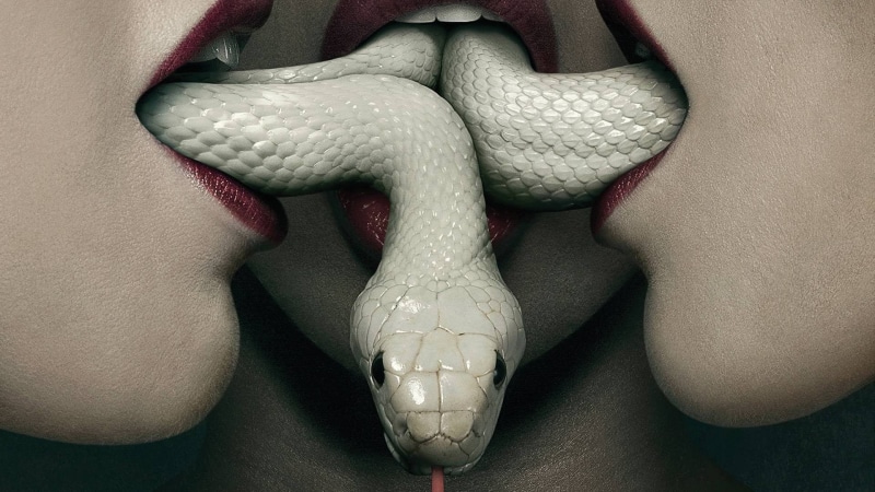 representation, white color, single object, no people, albino, body part, American Horror Story, 1080P, indoors, human representation, mouths