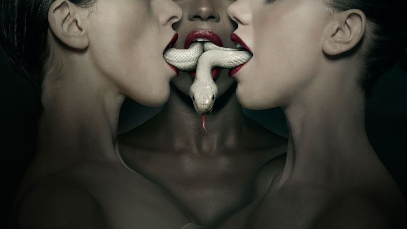 human lips, young adult, spooky, studio shot, indoors, human body part, lipstick, portrait, vampire, chest, black background, adult, one person, mystery