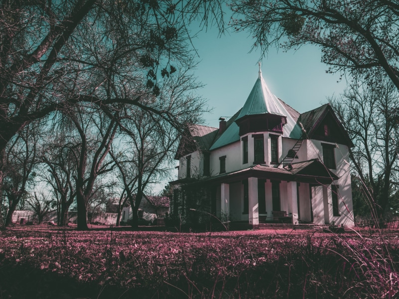 built structure, trees, field, american, building exterior, dark, architecture, retro, clean, creepy, no people, plant, blue, no clouds, story, building
