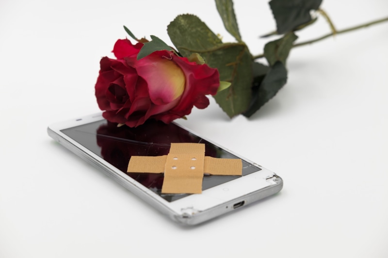vulnerability, smartphone, say goodbye, still life, flower, high angle view, close-up, screen, patch, no people, 5K, love, studio shot, beauty in nature