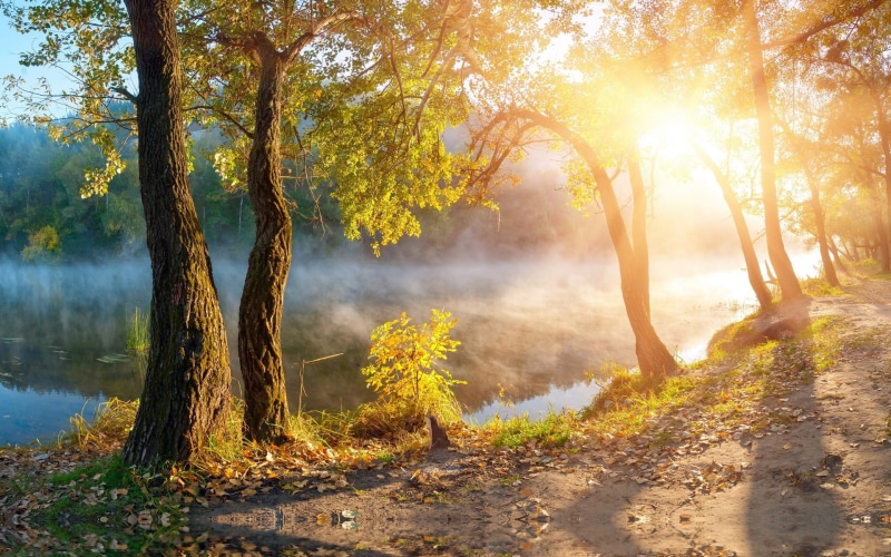 1080P, laptop backgrounds nature images 1920x1200