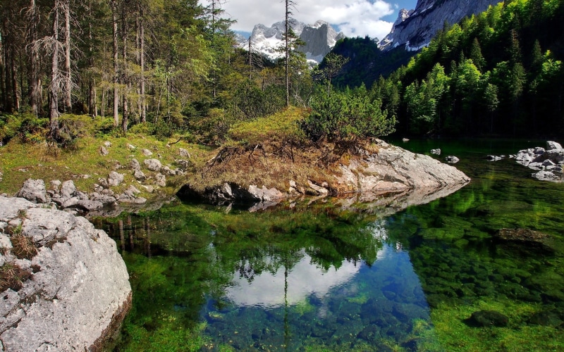 tranquil scene, nature, outdoors, forest, rock, water, land, plant, day, solid, 1080P, rock - object, growth, beauty in nature, lake, non-urban scene