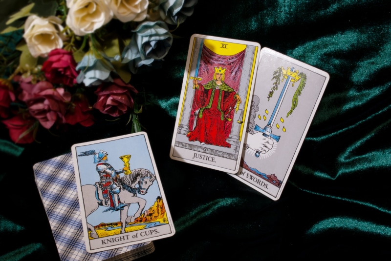 fortune, 4K, activity of mankind born out of struggle between wisdom and madness, prophecy, multi colored, bouquet, between dream and, close-up, spiritual