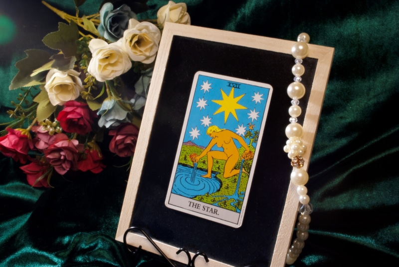card, bouquet, book, indoors, psychics, plant, tarot, publication, future, oracre, religion, oracle, flowering plant, prophecy, rose, flower, activity of mankind born out of struggle between wisdom and madness
